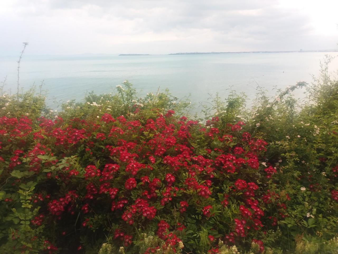 Hotel Sea Vista Święty Włas Zewnętrze zdjęcie